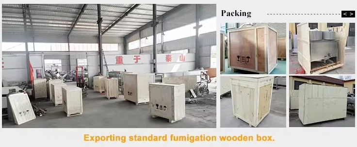 vegetable cutter machine package vegetable cutter machine package